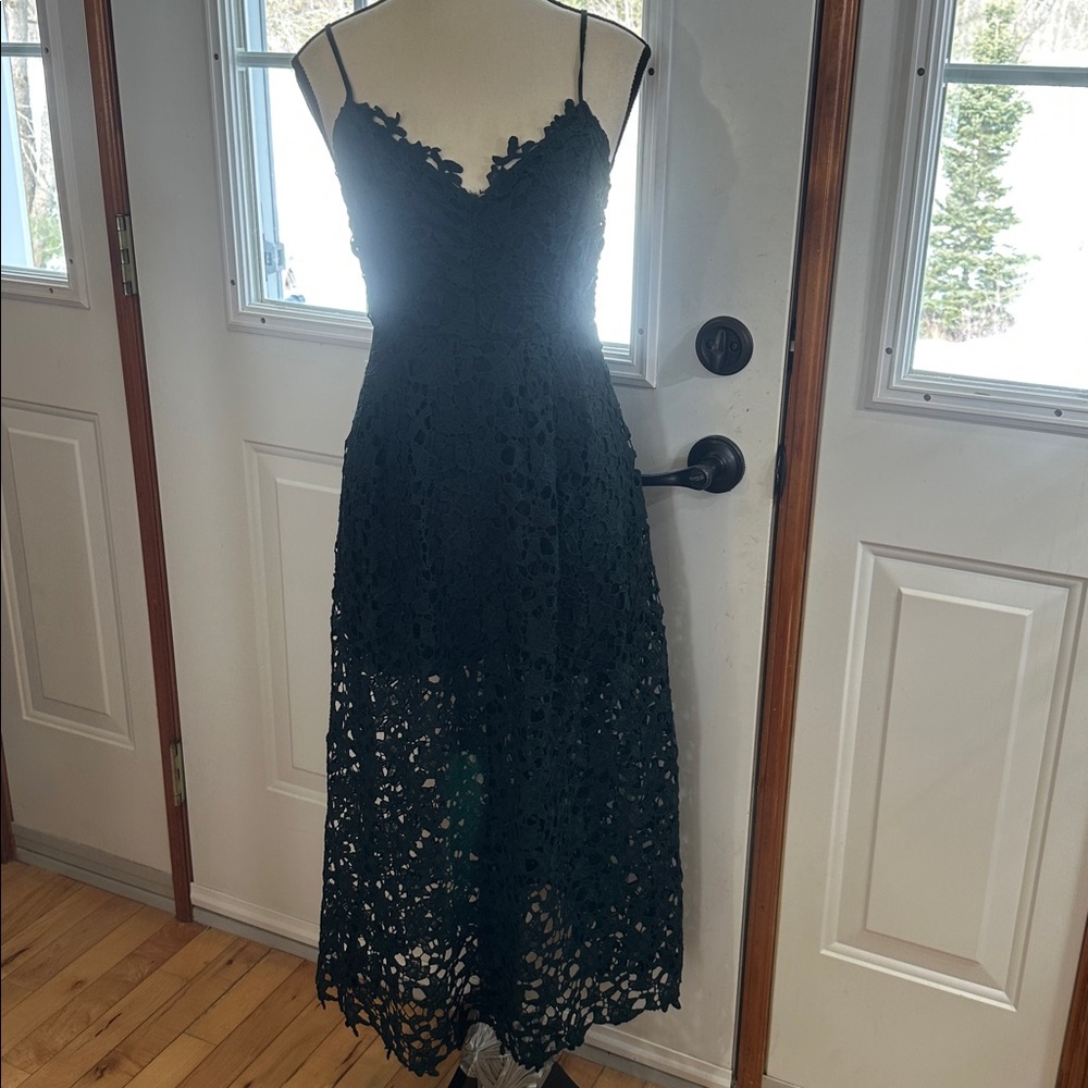 NWOT. Astr Dark Green Lace Midi Dress